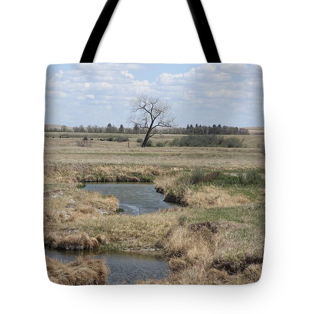 Swallows Tote Bag featuring the photograph Creek and Flying Swallows by Amanda R Wright