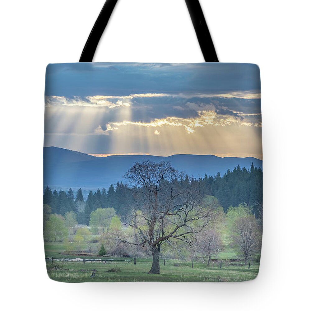 Sun Tote Bag featuring the photograph Crepuscular by Randy Robbins