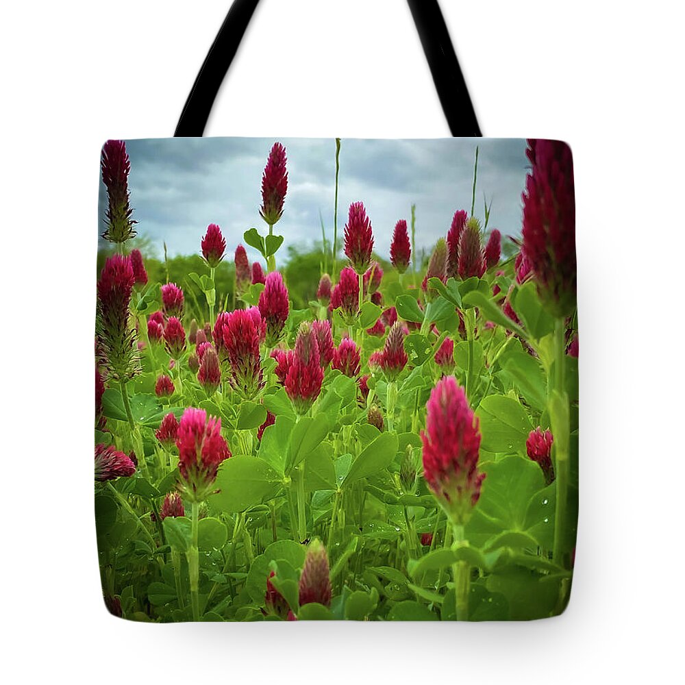 Crimsonclover Tote Bag featuring the photograph Crimson Clover by Pam Rendall