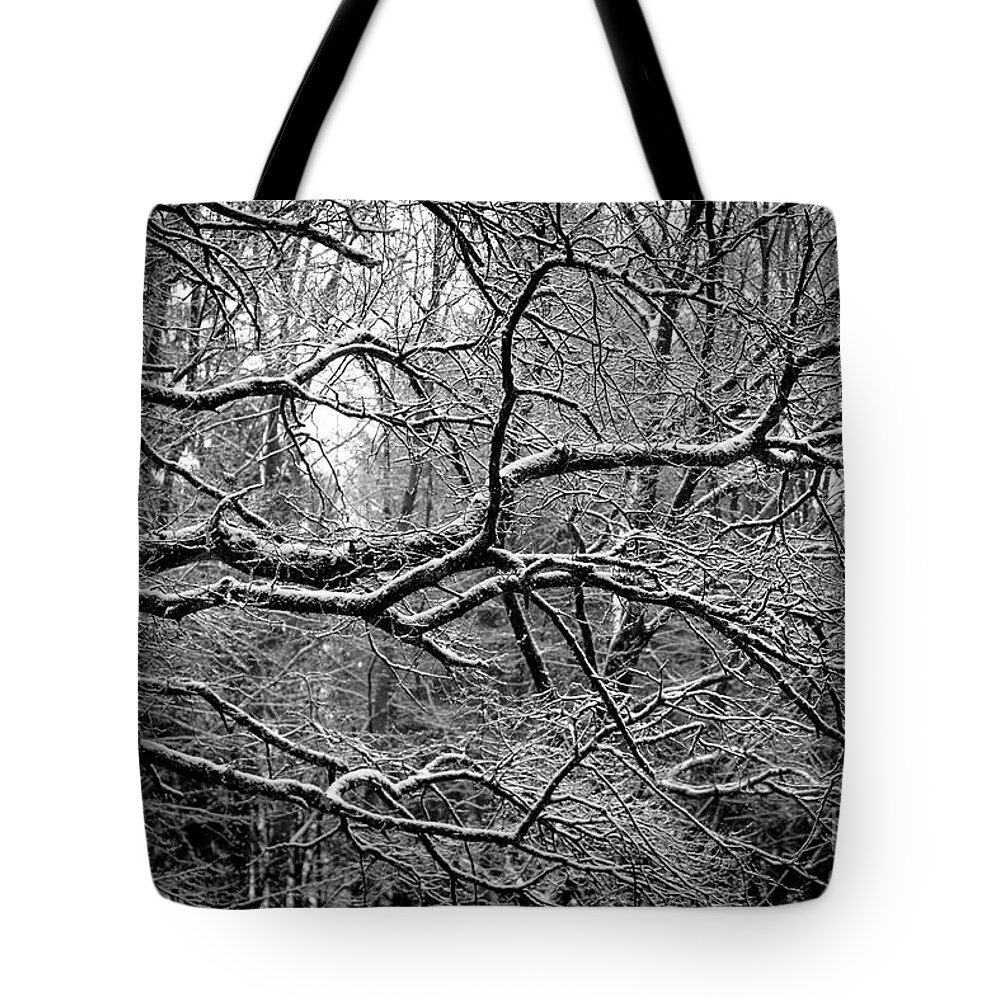 Branch Tote Bag featuring the photograph Crisp Branches by Daniel M Walsh