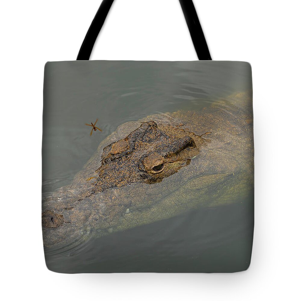 Crocodile Tote Bag featuring the photograph Crocodile with Dragonfly by Carolyn Hutchins