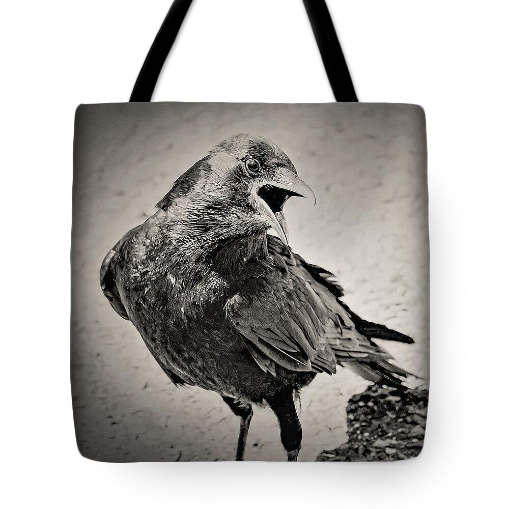 Crow Bird Black White Tote Bag featuring the photograph Crow by John Linnemeyer