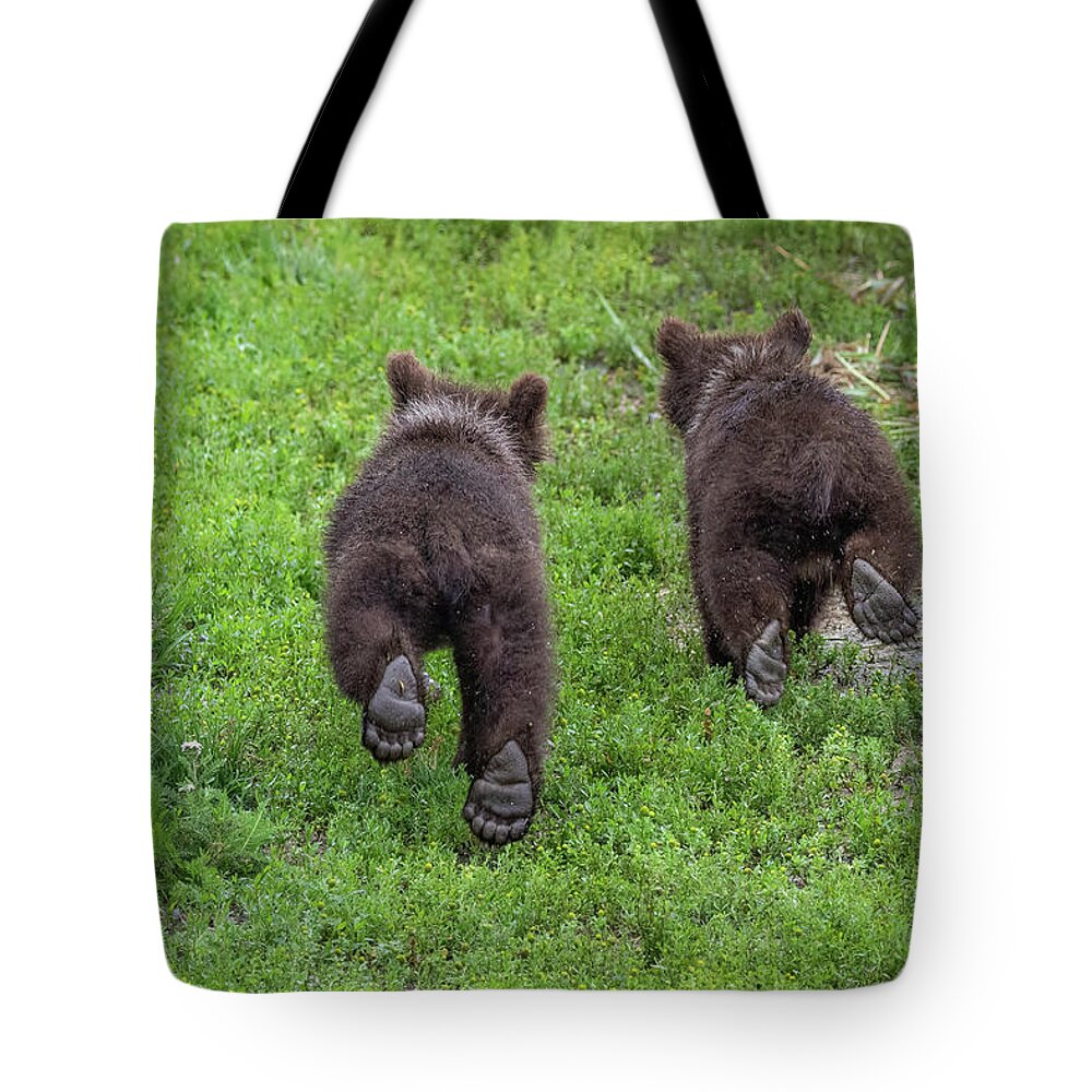 Bear Tote Bag featuring the photograph Cubs on the Run by Randy Robbins
