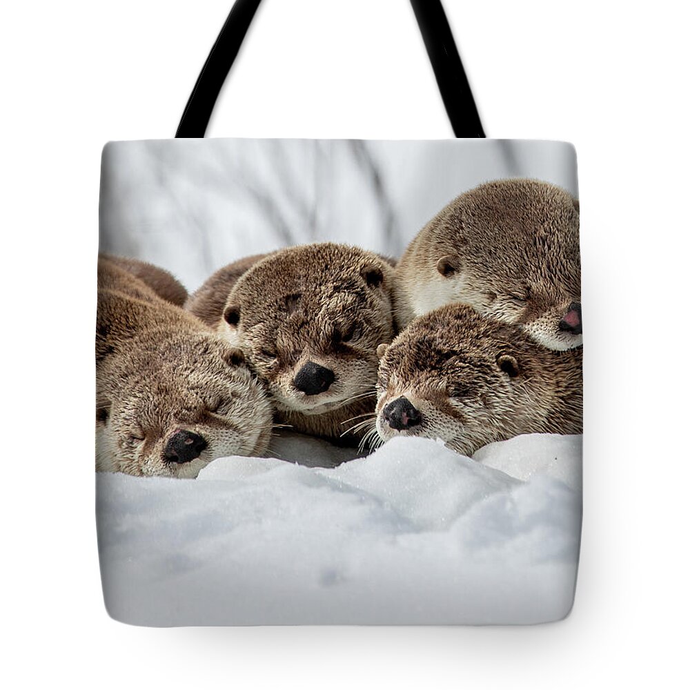 Otters Tote Bag featuring the photograph Cuddle Puddle by Peter Mangolds