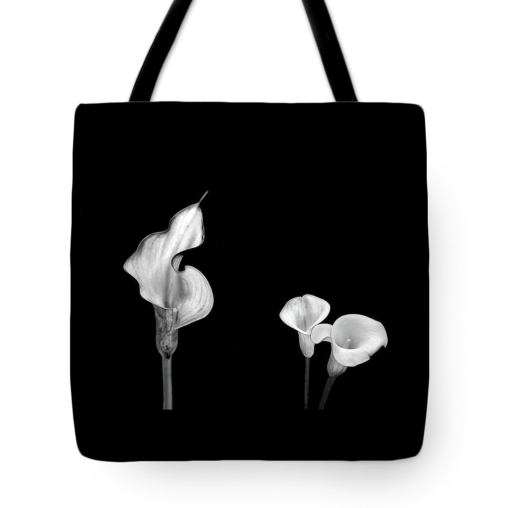 Beautiful Black And White Flower Tote Bag featuring the photograph Curiosity by Az Jackson