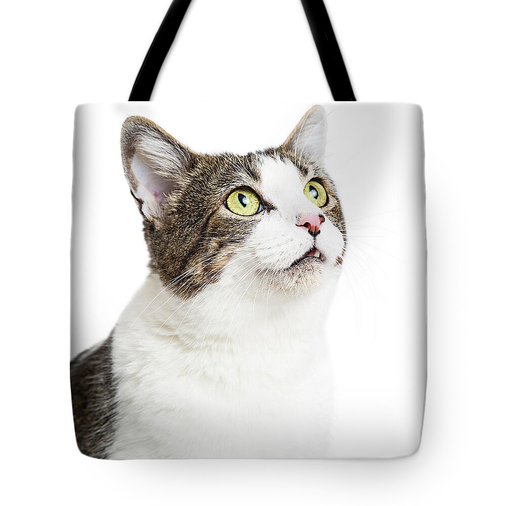 White Background Tote Bag featuring the photograph Curious Cat Close-up Looking Up by Good Focused