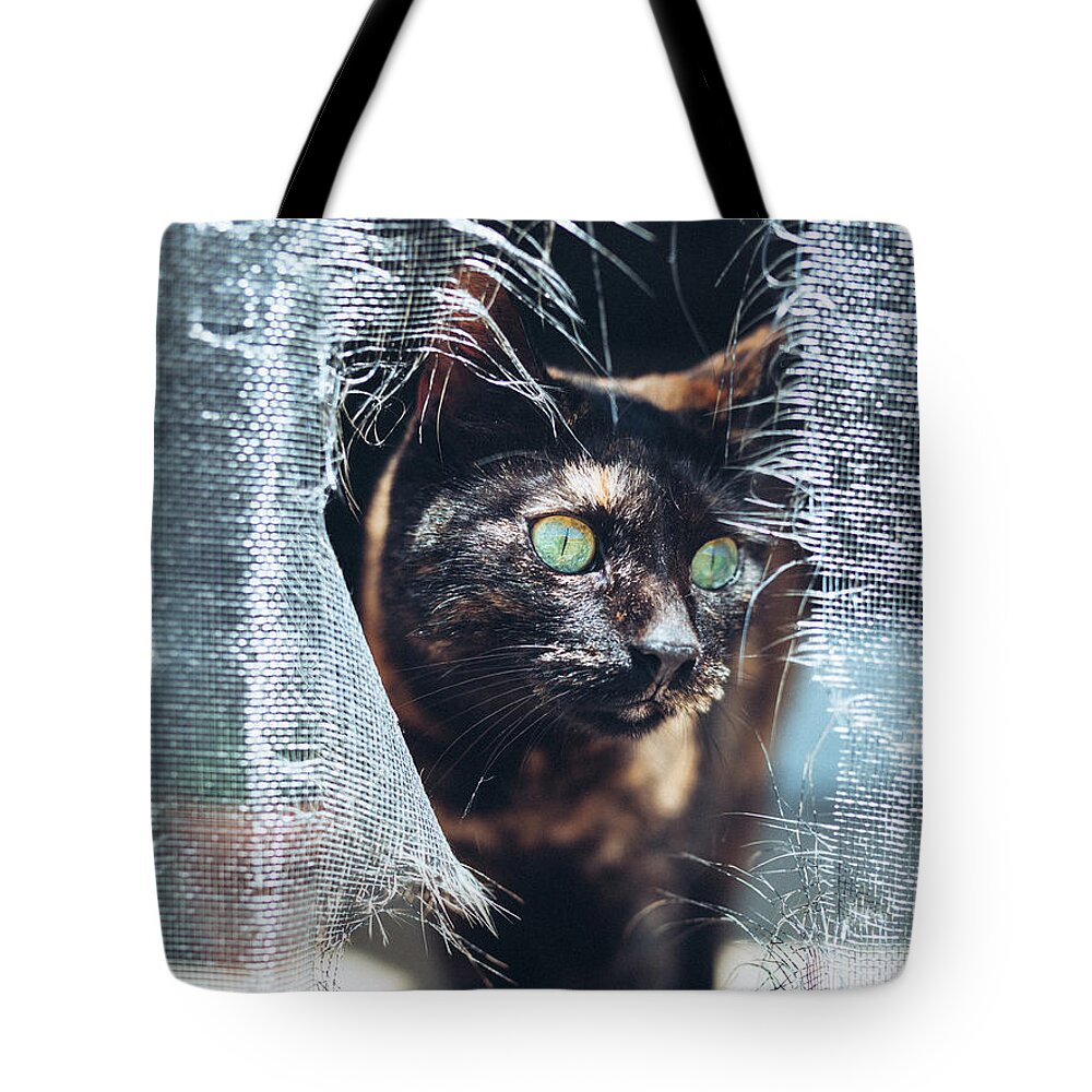 Cat Tote Bag featuring the photograph Curious Cat by Katie Dobies