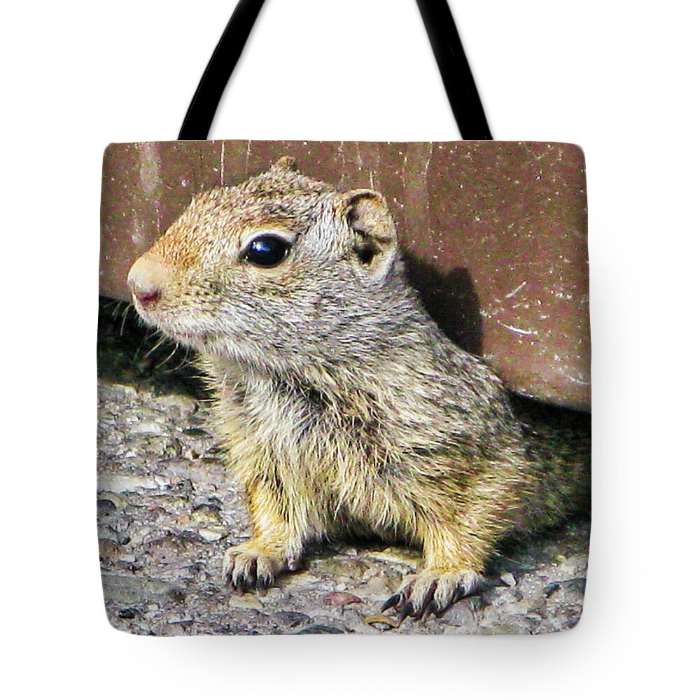 Animals Tote Bag featuring the photograph Curious chipmonk by Segura Shaw Photography