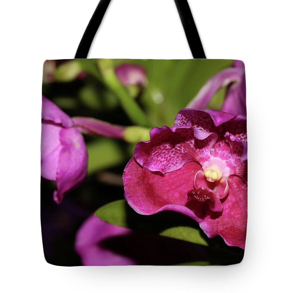 Orchid Tote Bag featuring the photograph Curled Orchids by Mingming Jiang