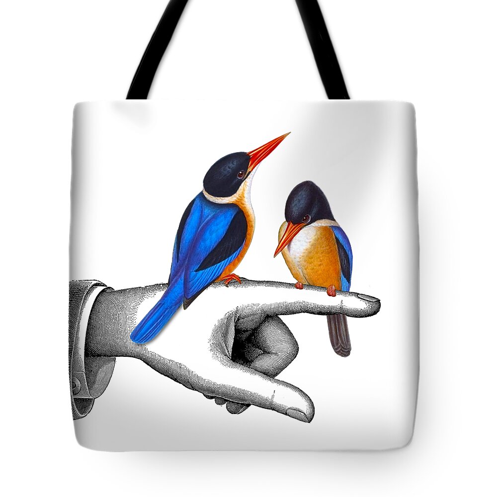 Kingfisher Tote Bag featuring the digital art Cute Together by Madame Memento