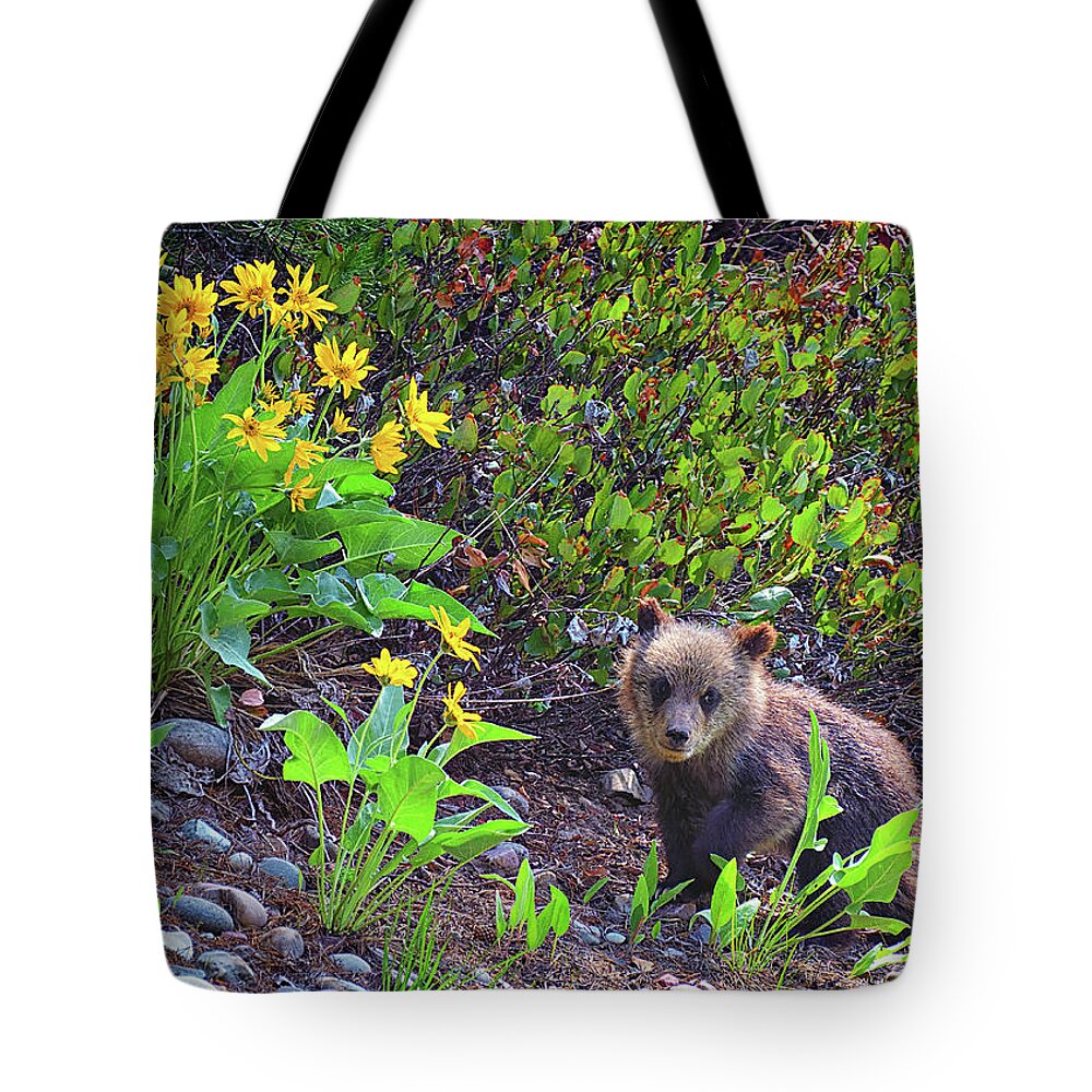 Grizzly Cub Tote Bag featuring the photograph Cutie Pie Cub by Greg Norrell