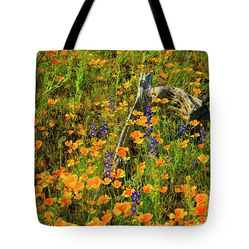 Arizona Tote Bag featuring the photograph Cycle of Life 25052 by Mark Myhaver
