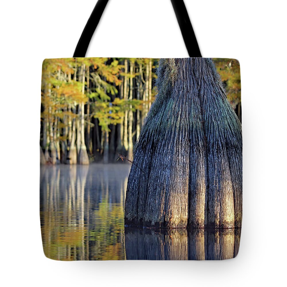 Georgia Tote Bag featuring the photograph Cypress by Jennifer Robin