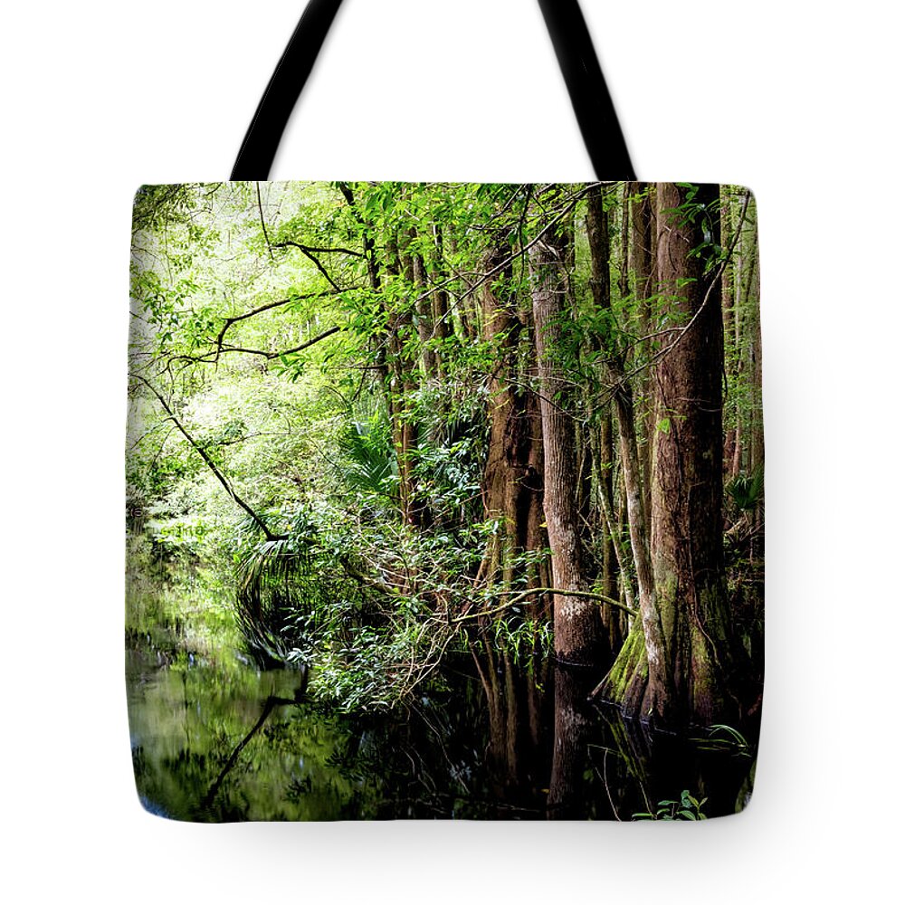 Clouds Tote Bag featuring the photograph Cypress Marsh Reflections Highlands Hammock by Debra and Dave Vanderlaan