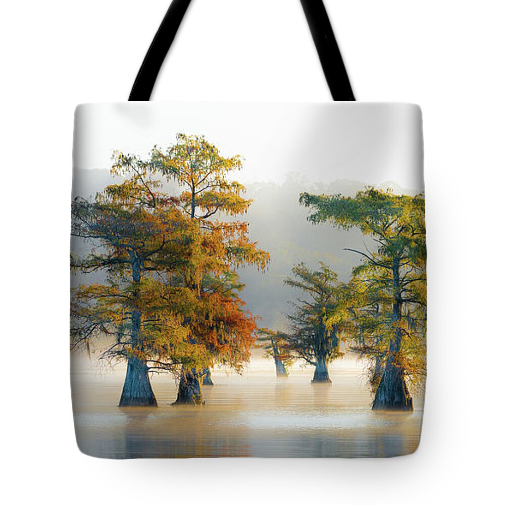 Benton Tote Bag featuring the photograph Cypress Morning by David Downs