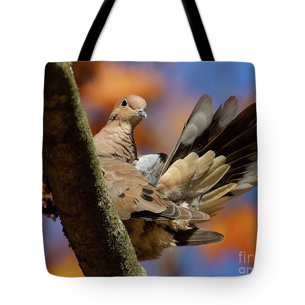 Bird Tote Bag featuring the photograph My Inner Turkey by Chris Scroggins