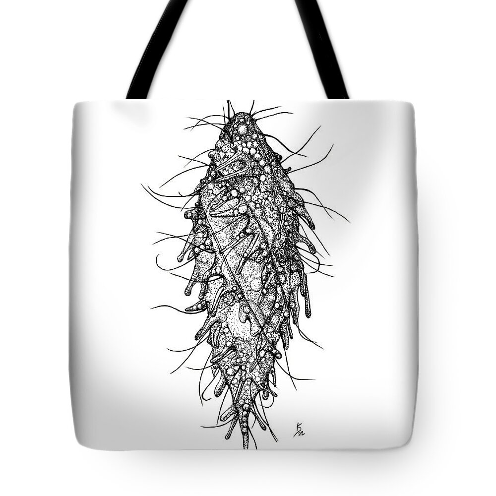 Ciliate Tote Bag featuring the drawing Dactylochlamys pisciformis by Kate Solbakk