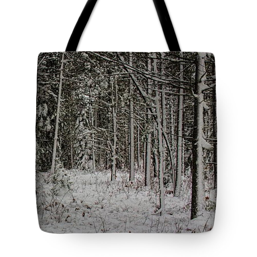 Eagle River Tote Bag featuring the photograph Dad's Deer Stand by Dale Kauzlaric