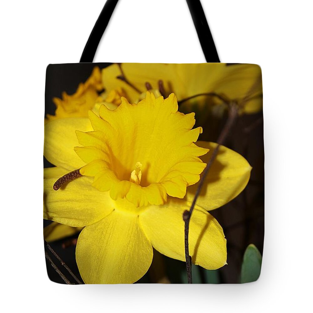 Daffodil Tote Bag featuring the photograph Daffodil Beauty by Claudia Zahnd-Prezioso