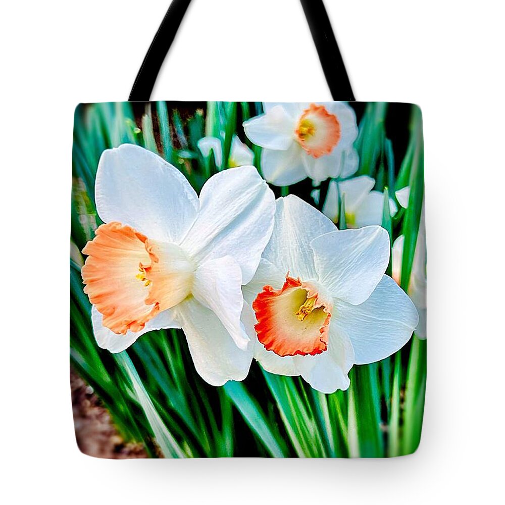 Spring Tote Bag featuring the photograph Daffodils by John Anderson