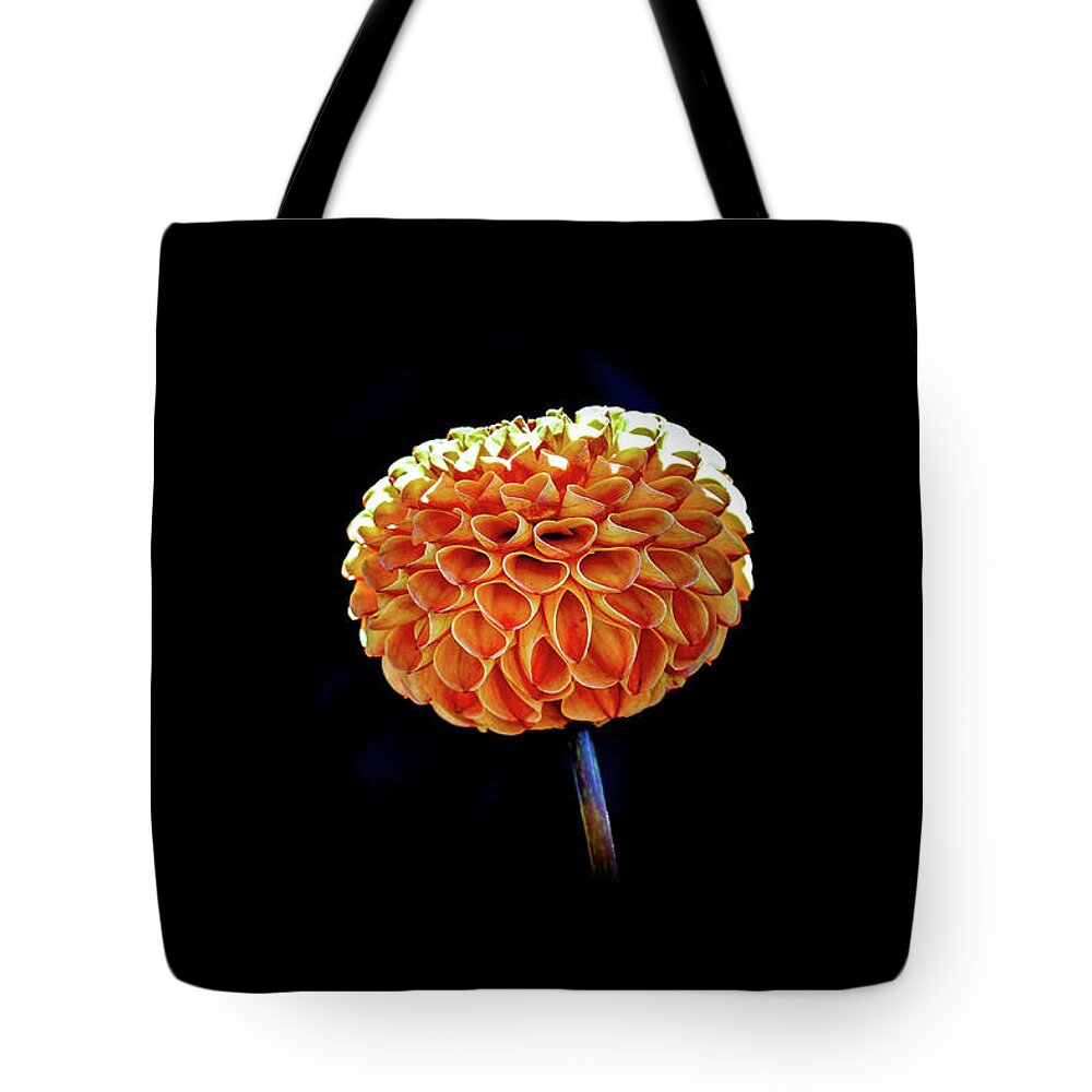 Flower Tote Bag featuring the photograph Dahlia by Anamar Pictures