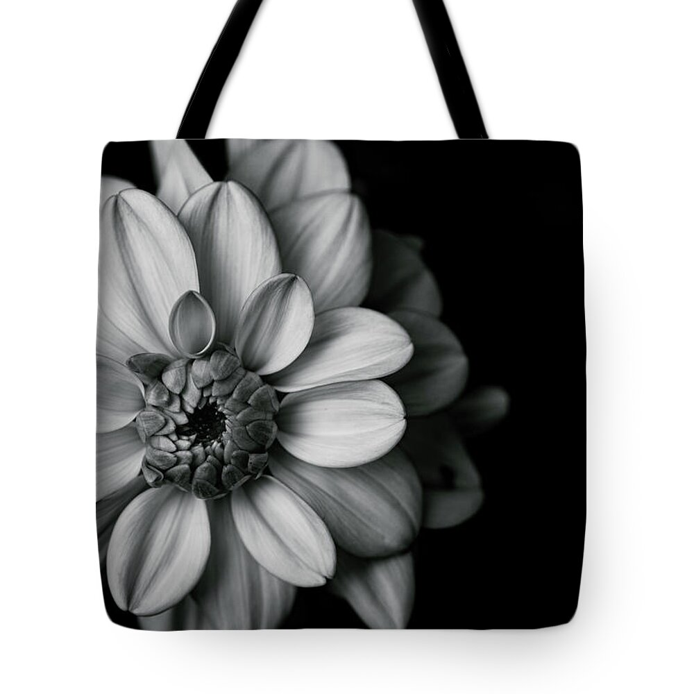 Dahlia Tote Bag featuring the photograph Dahlia Dream - in black and white by Ada Weyland
