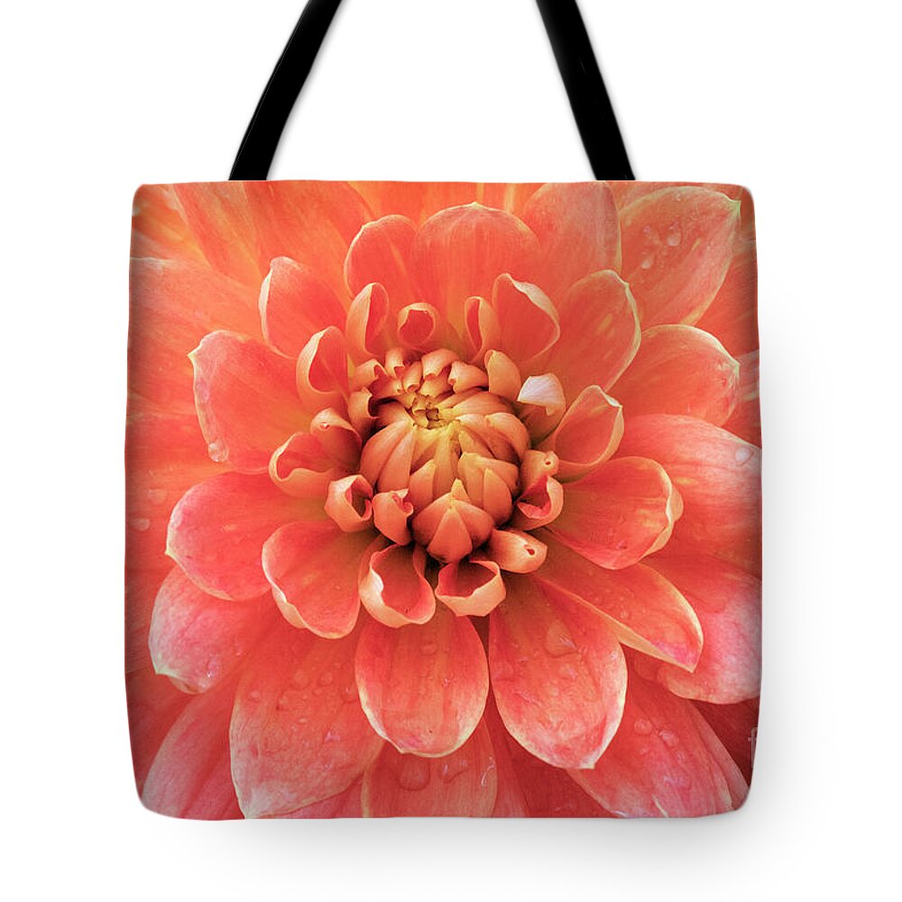 Kmaphoto Tote Bag featuring the photograph Dahlia Beauty by Kristine Anderson