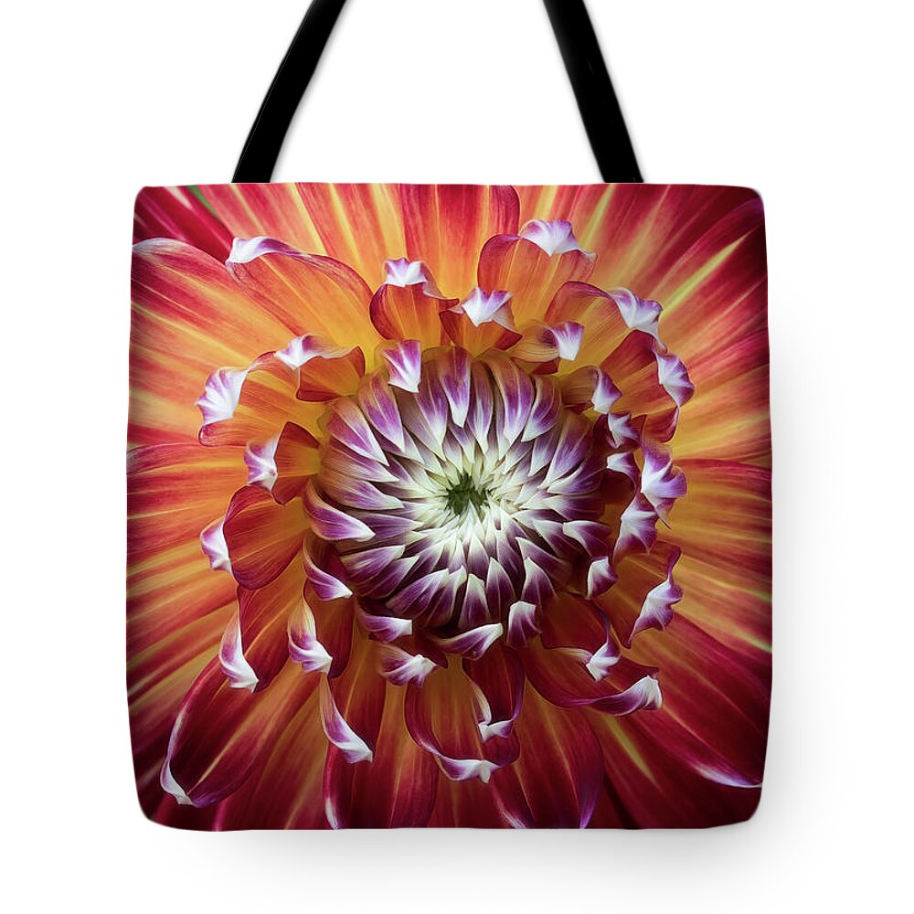 Akita Tote Bag featuring the photograph Dahlia Fireworks by Pat Watson