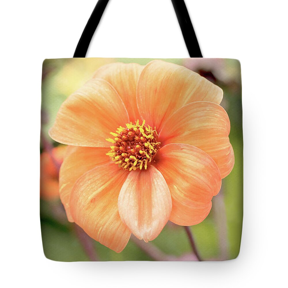 Dahlia Tote Bag featuring the photograph Dahlia by Tanya C Smith