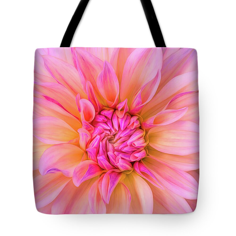 Pastel Pink Tote Bag featuring the photograph Dahlia's Pink Ice by Sheen Watkins