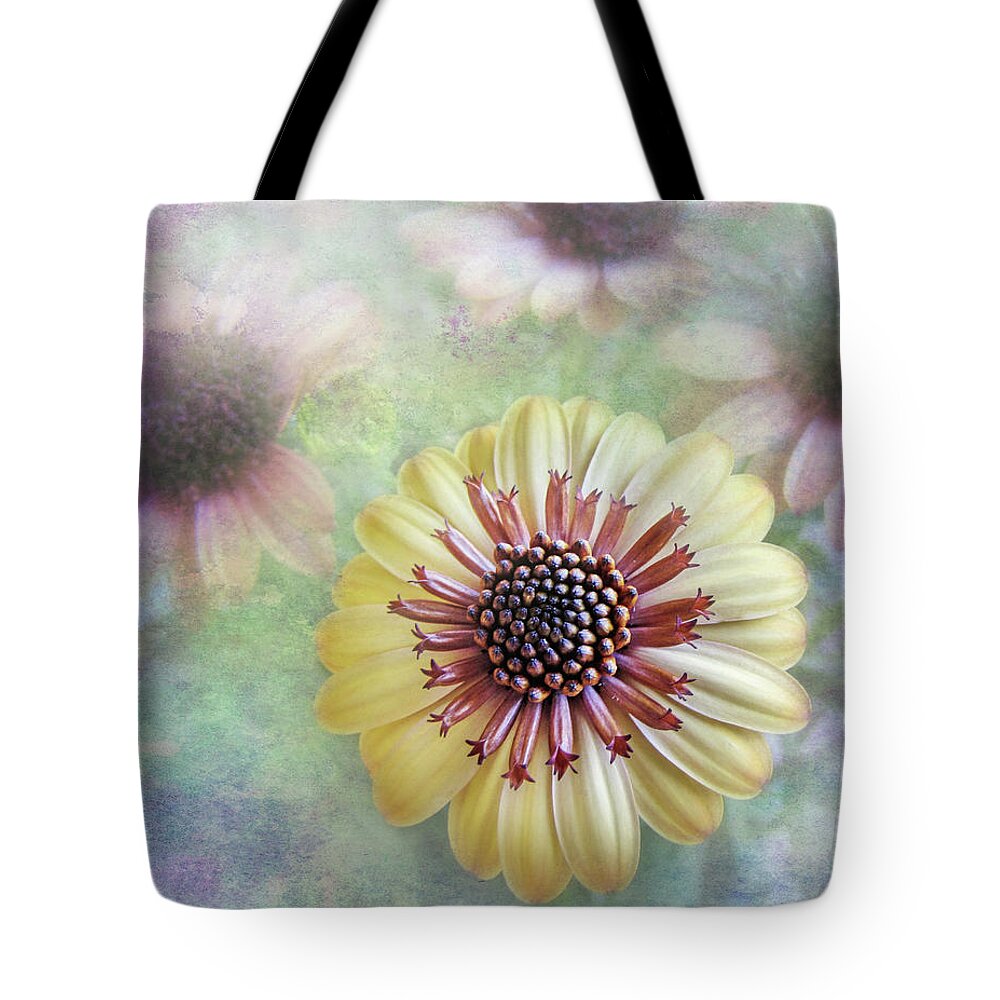Bed Room Decor Tote Bag featuring the photograph Daisy Burst by David and Carol Kelly