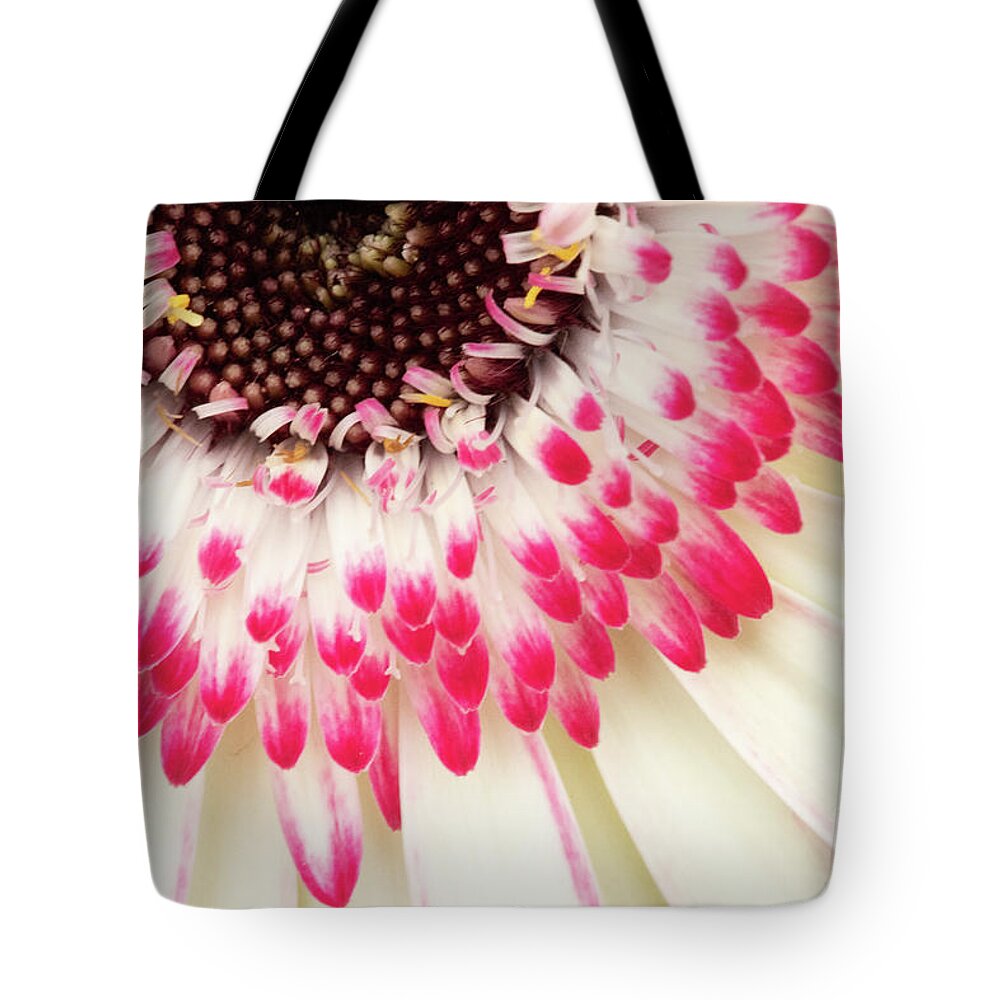 Abstracts Tote Bag featuring the photograph Daisy Dipped by Marilyn Cornwell