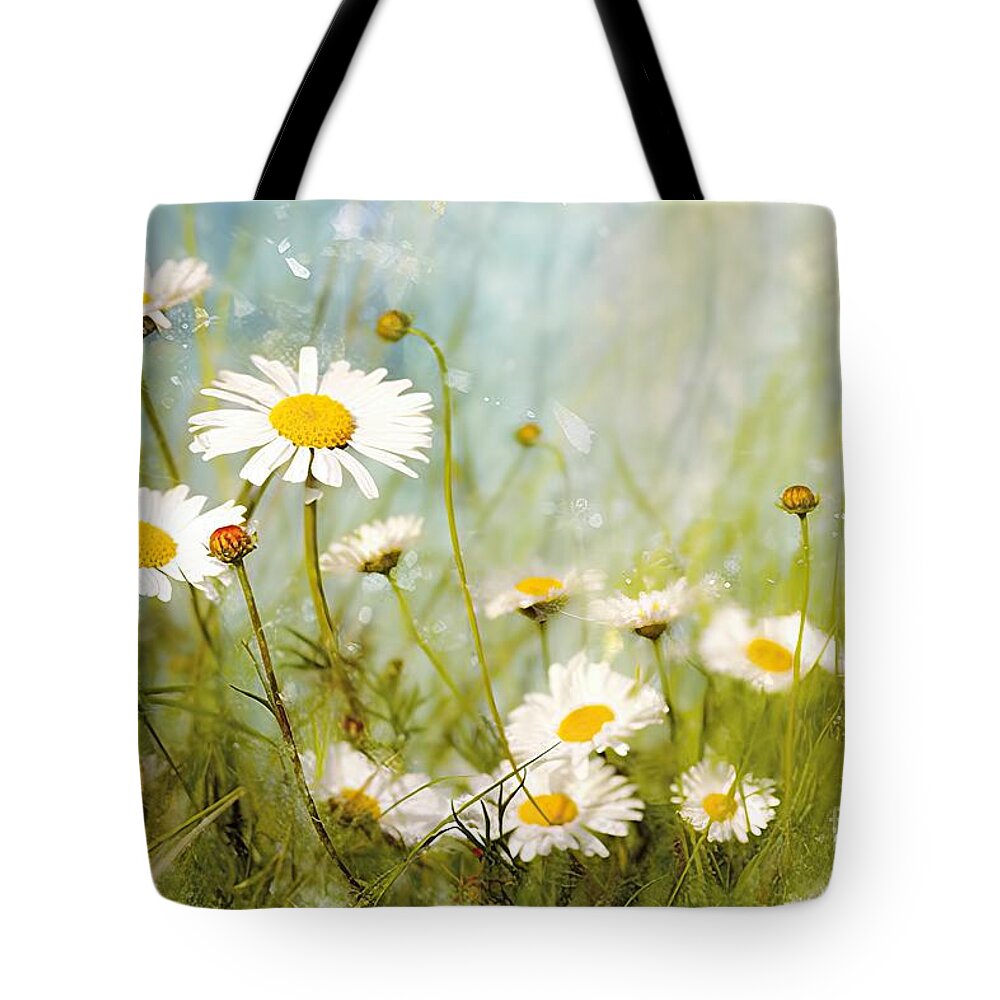 Aromatherapy Tote Bags