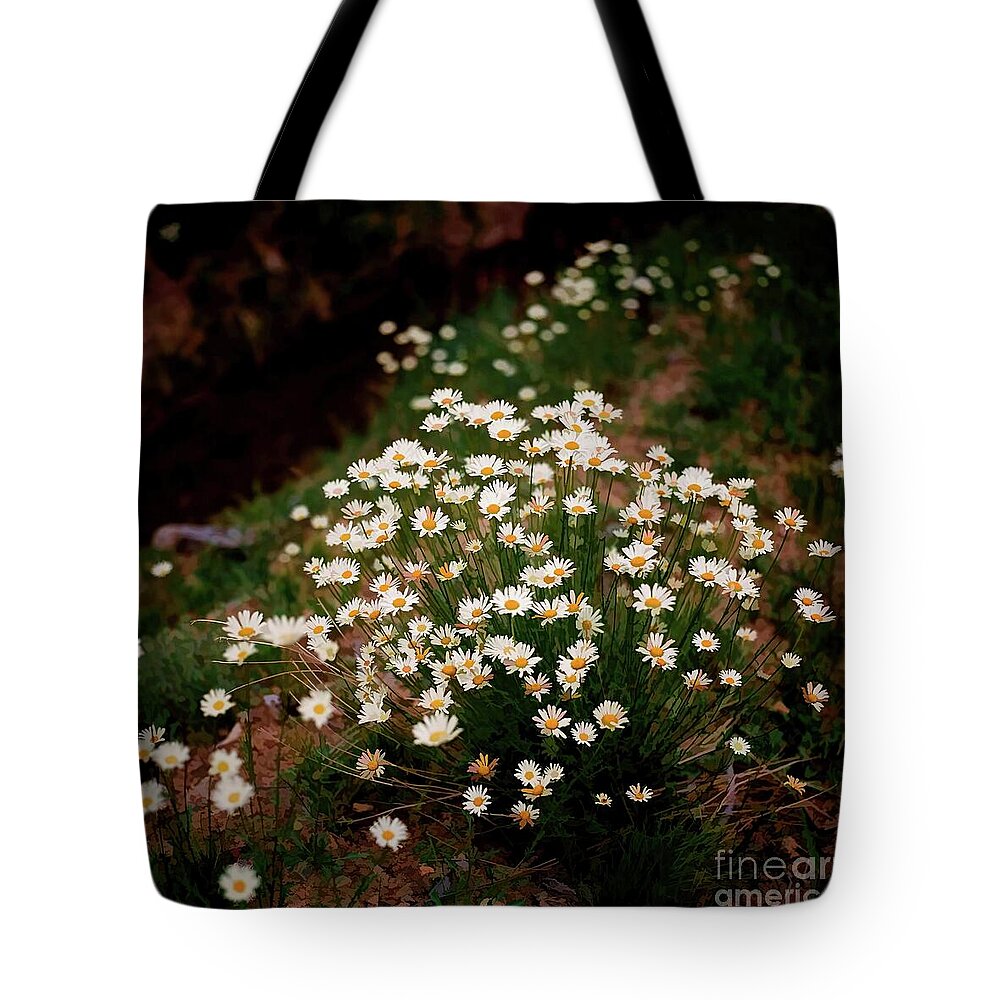 Jon Burch Tote Bag featuring the photograph Daisy - Give me your answer do by Jon Burch Photography