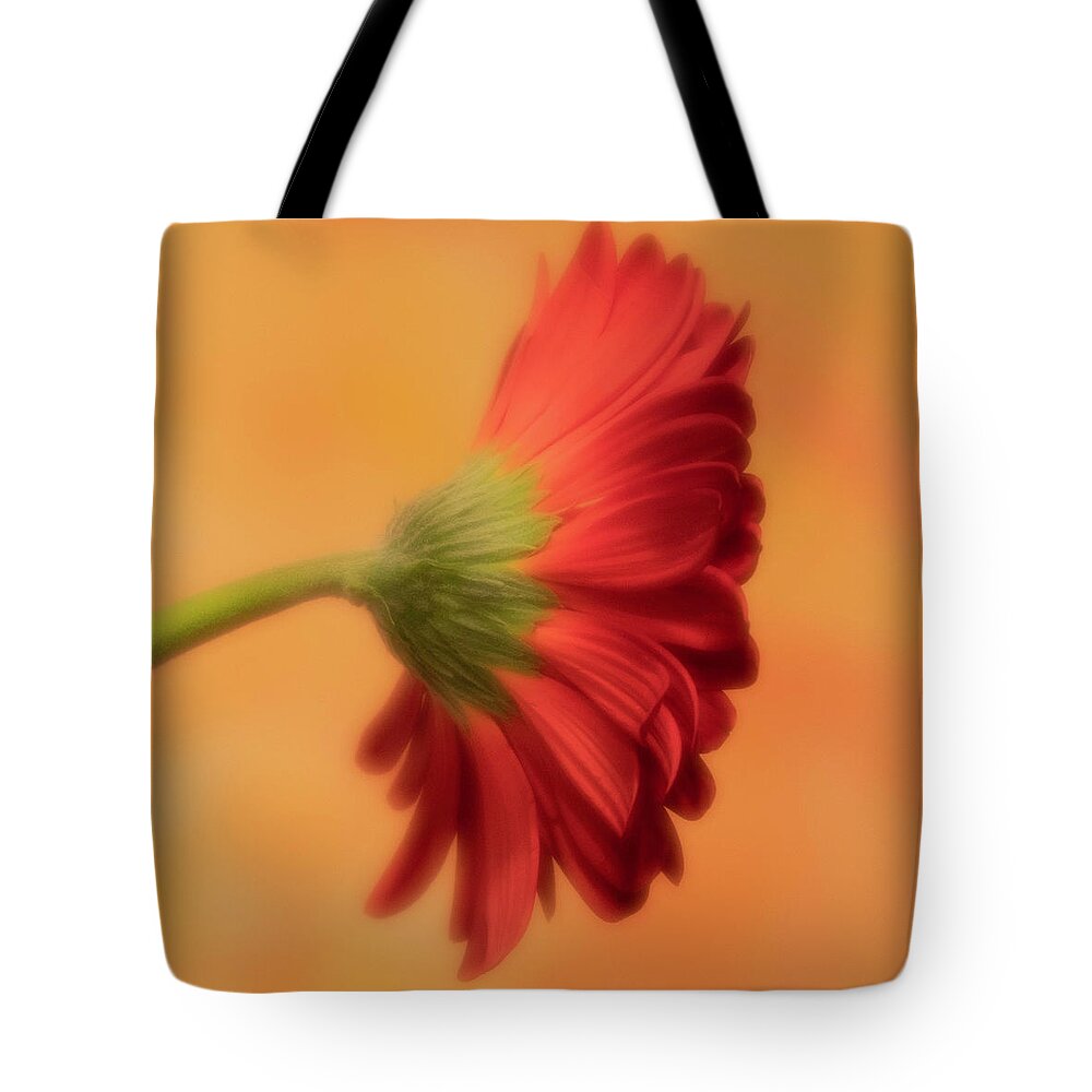 Gerber Daisy Tote Bag featuring the photograph Daisy In Repose by Forest Floor Photography