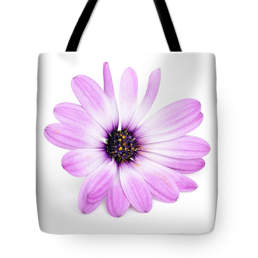 Flower Tote Bag featuring the photograph Daisybush Osteospermum barberiae flowerhead by Viktor Wallon-Hars