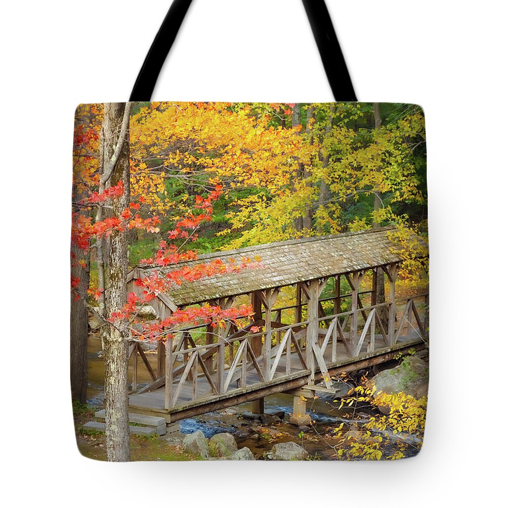 Ashby Massachusetts Tote Bag featuring the photograph Damon Walking Bridge over Willard Brook by Jeff Folger