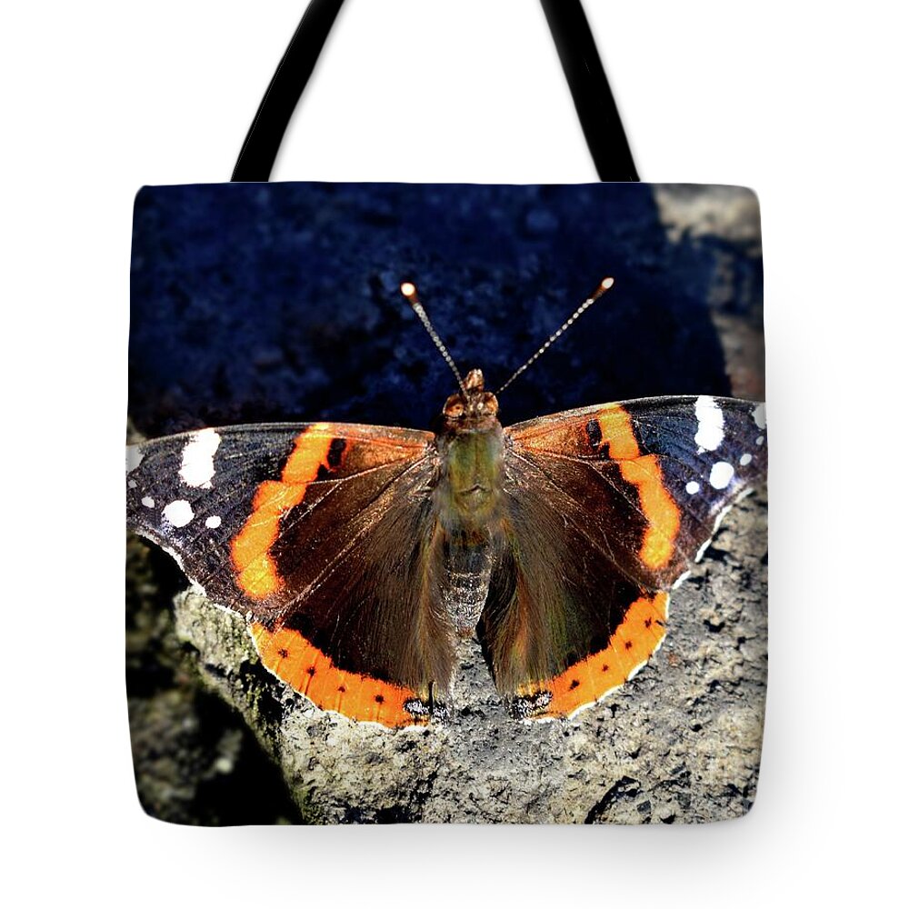 Nature Tote Bag featuring the photograph Dance of Heavens Butterfly  by Leonida Arte