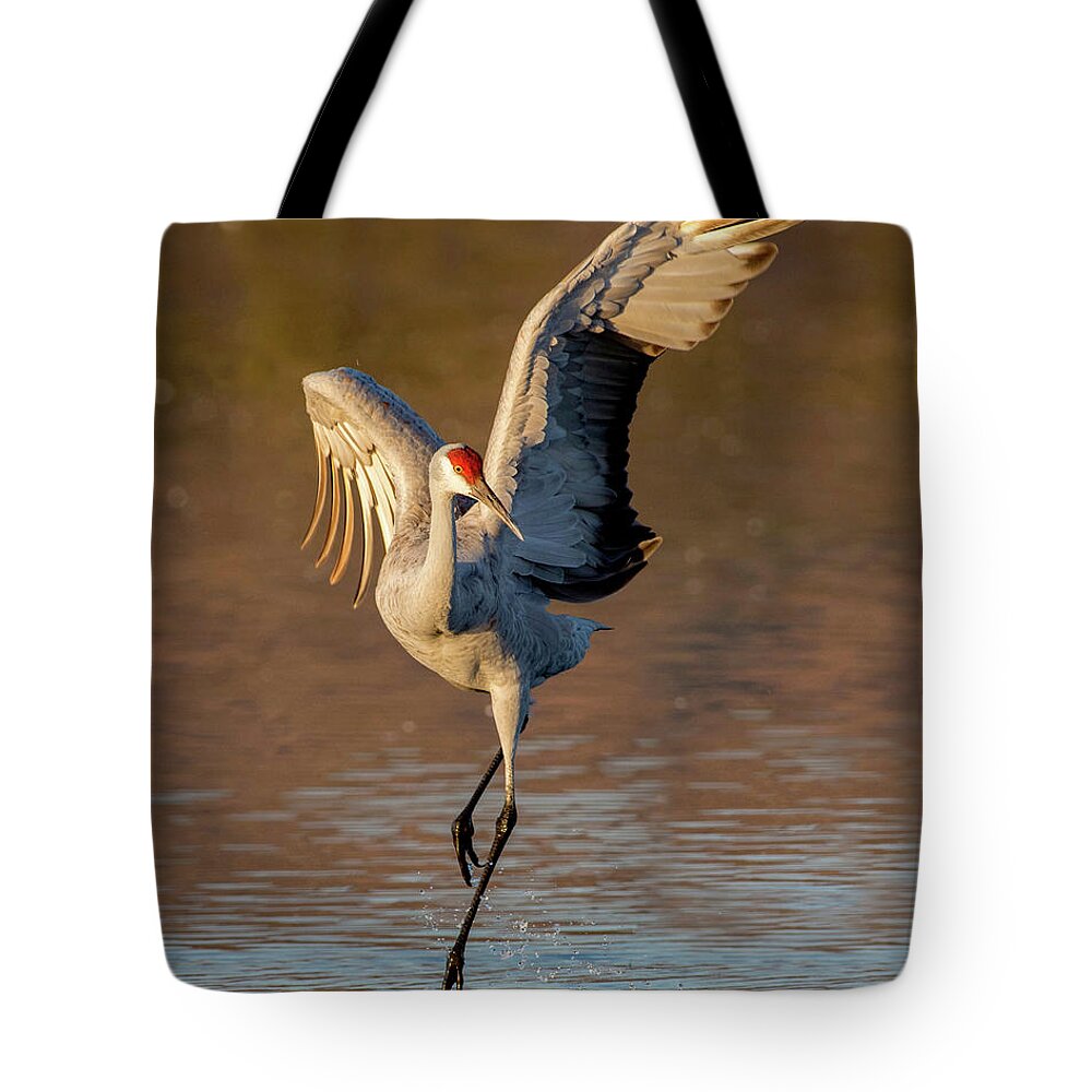 Sandhill Crane Tote Bag featuring the photograph Dance of the Sandhill Crane by Judi Dressler