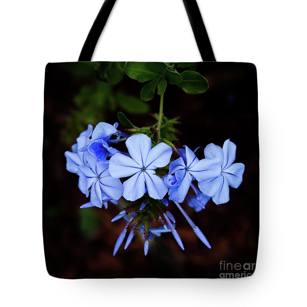 Flowers Tote Bag featuring the photograph Dancing Flowers in Purple by Neala McCarten