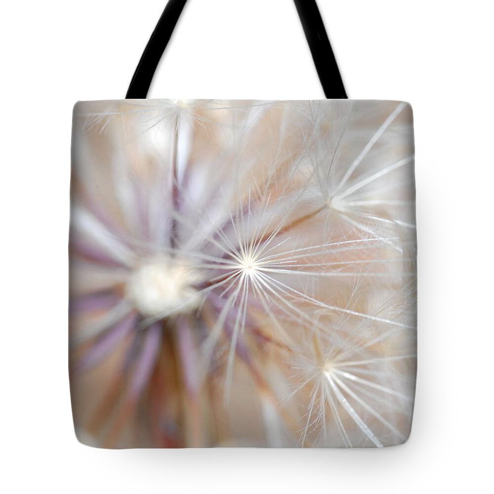 Nature Tote Bag featuring the photograph Dandelion 2 by Amy Fose