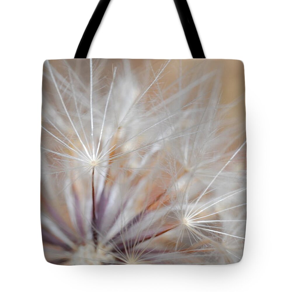Nature Tote Bag featuring the photograph Dandelion 3 by Amy Fose