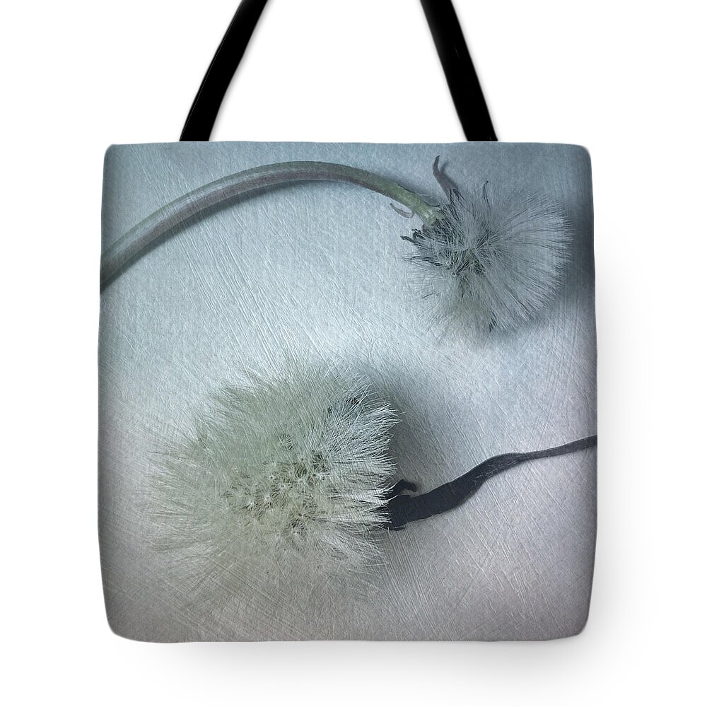 Dandelion Tote Bag featuring the photograph Dandelion Dance by Joy Sussman by Joy Sussman