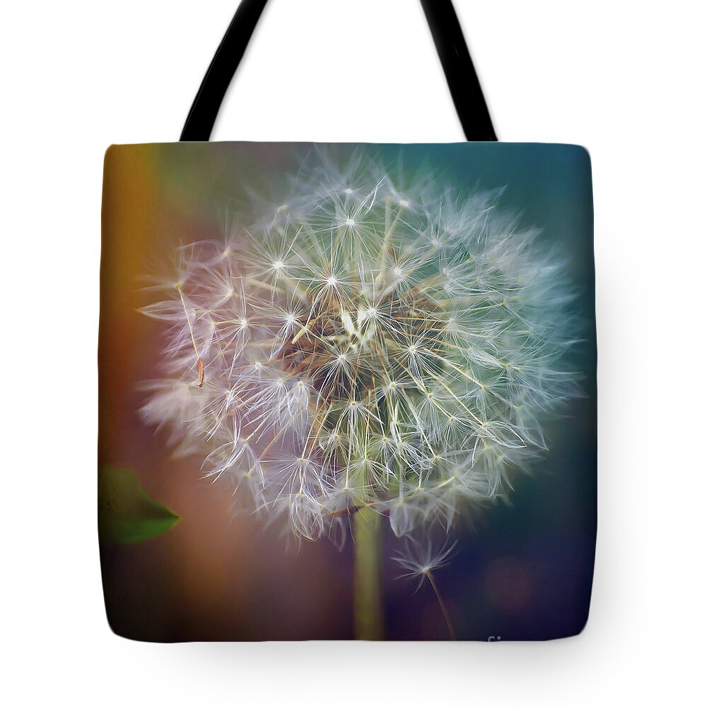 Dandelion Tote Bag featuring the photograph Dandelion Dreams Series - 3 by Kerri Farley