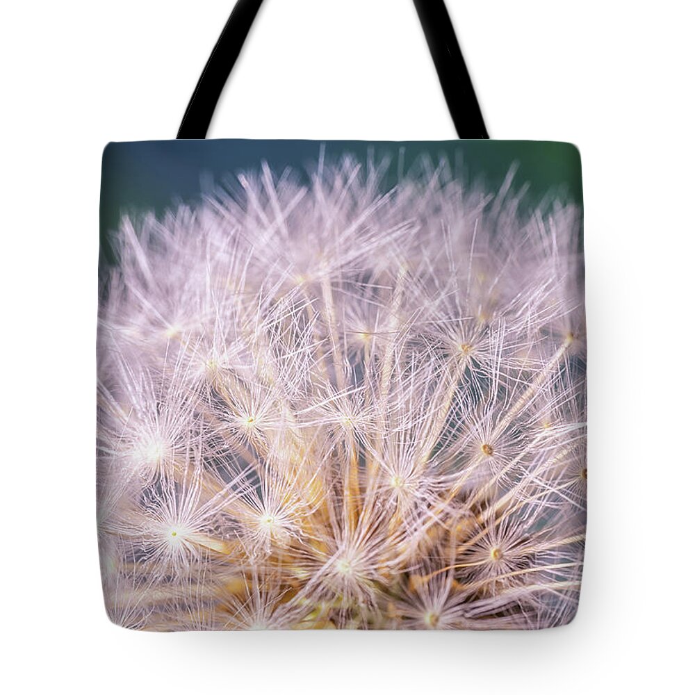 Dandelion Tote Bag featuring the photograph Dandelion Head by Framing Places
