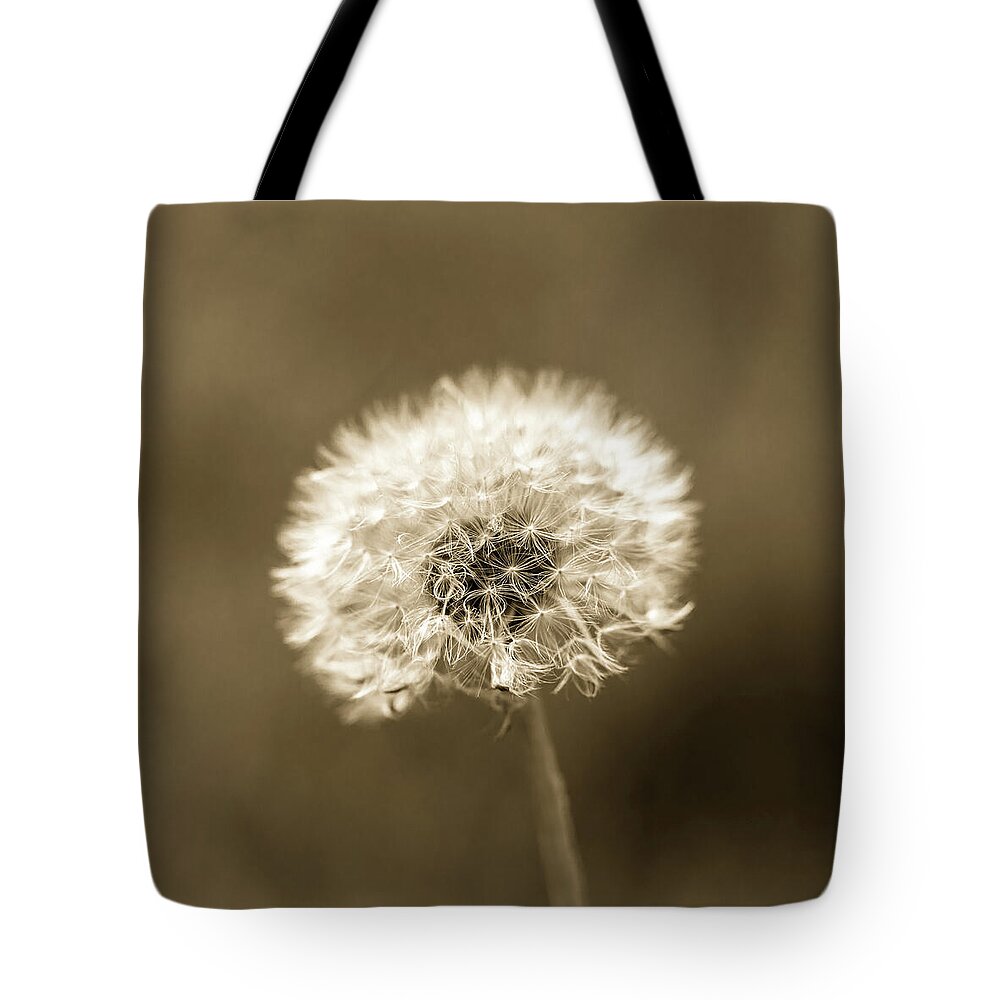 Dandelion Tote Bag featuring the photograph Dandelion Seed Head Brown Tone by Tanya C Smith