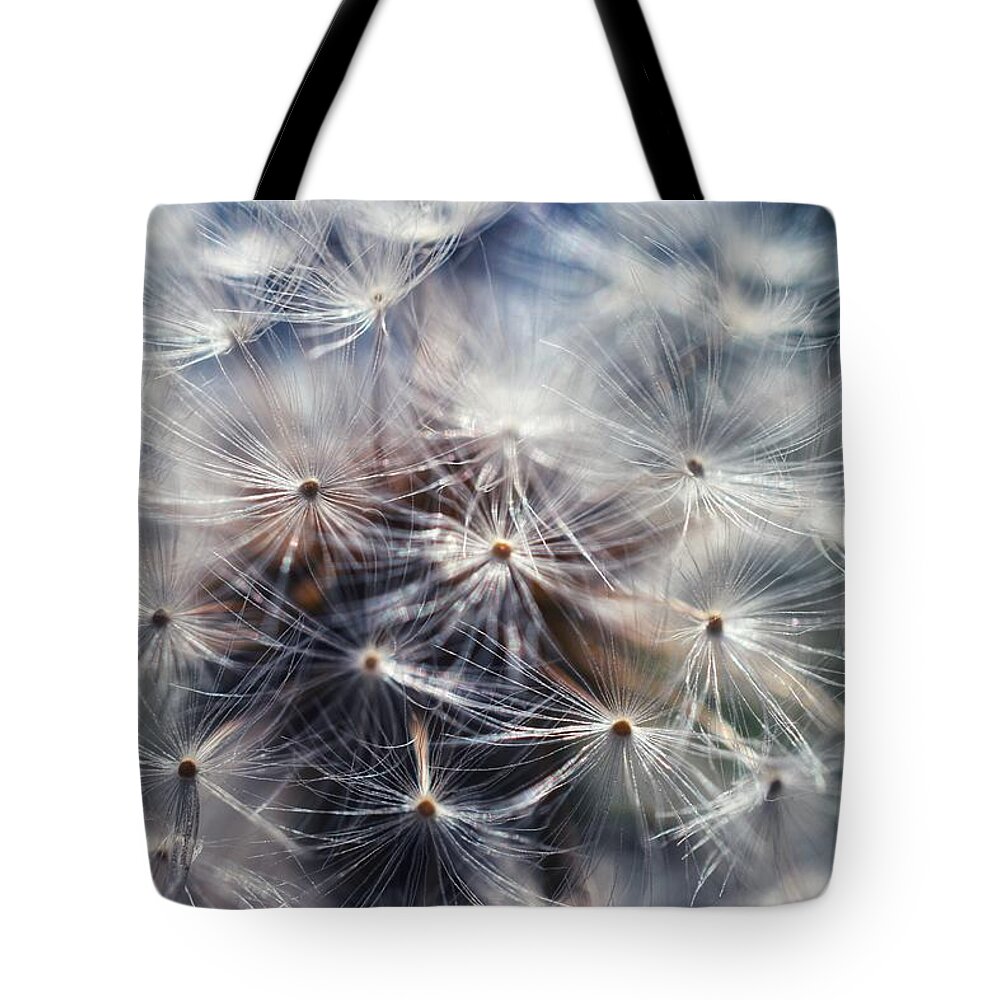 Dandelion Tote Bag featuring the photograph Dandelion Seeds by Evan Foster