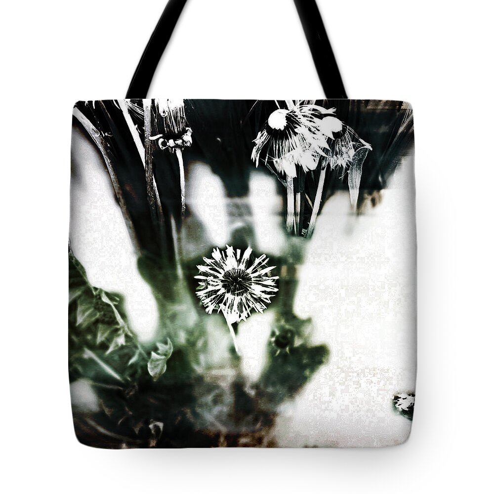 Dandelion Tote Bag featuring the photograph Dandelion by Tanja Leuenberger