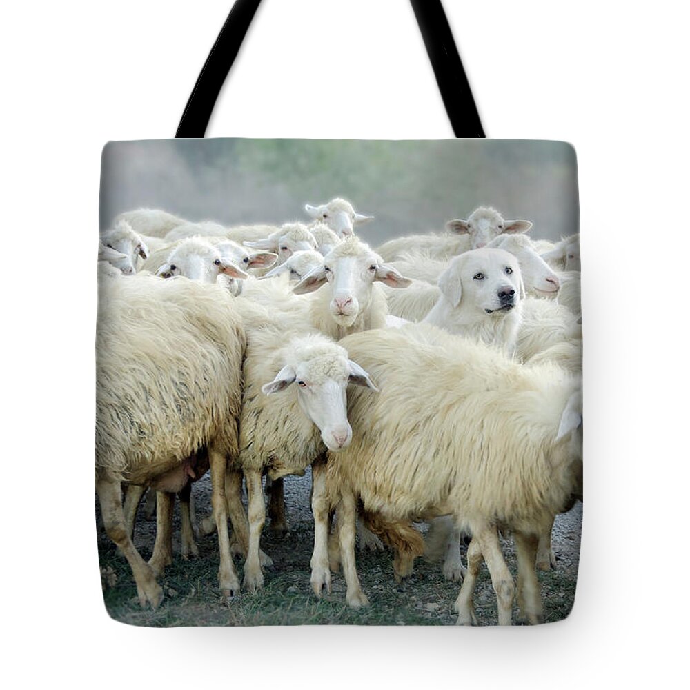 Drôle Tote Bag featuring the photograph Dare to be Different by Louise Tanguay
