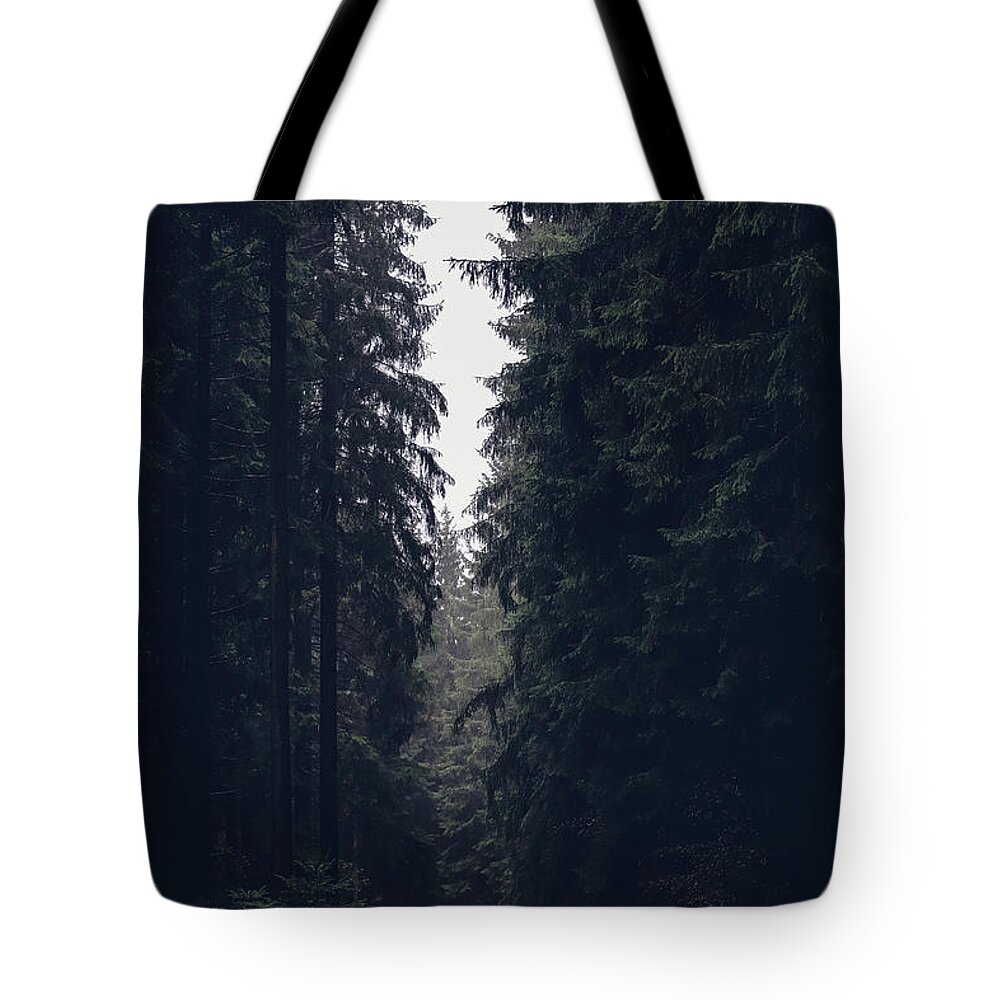 Forest Tote Bag featuring the photograph Dark atmosphere in forest. Forgotten road in rainy day by Vaclav Sonnek